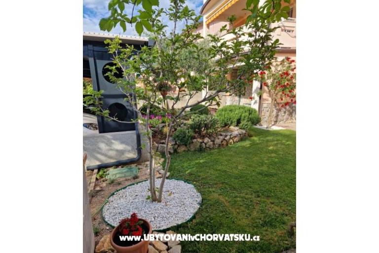 Apartments Fanuko – photo 19