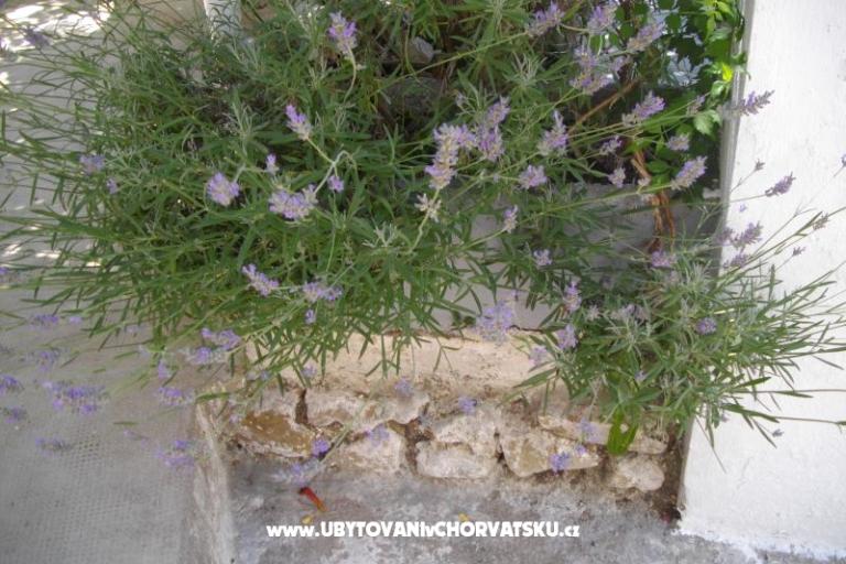 Apartments Kinkela – photo 12