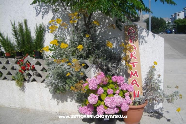 Apartments Kinkela – photo 3