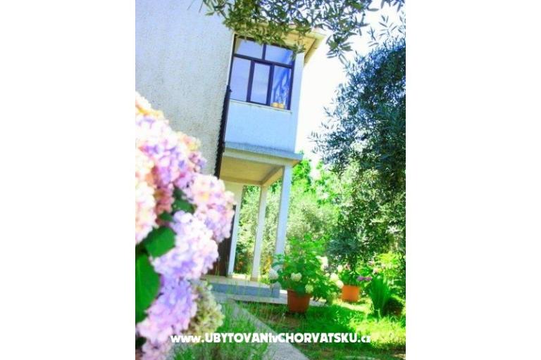 Apartments Krk-Hydrangea – photo 12