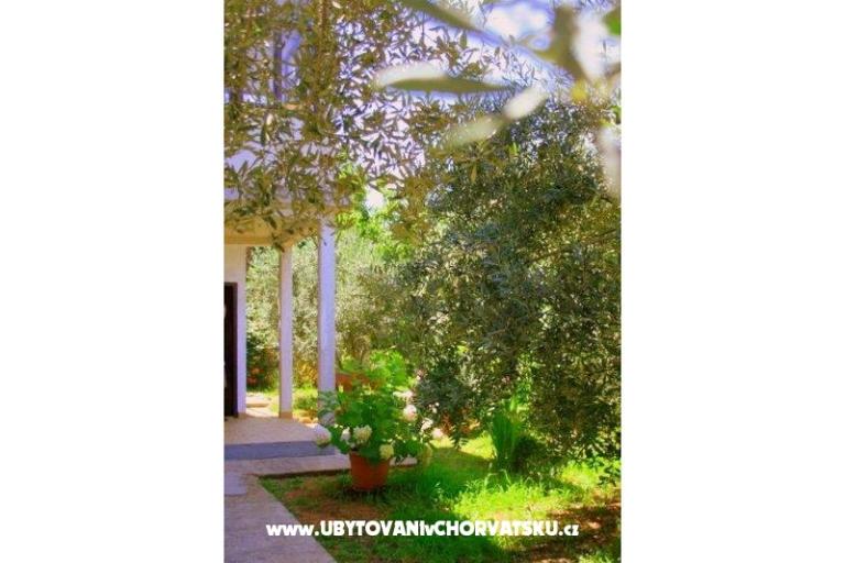 Apartments Krk-Hydrangea – photo 14