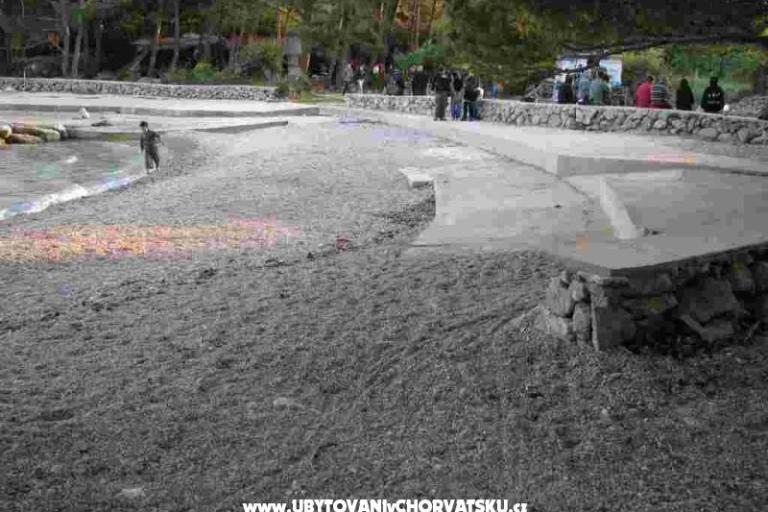 Apartments Krk-Hydrangea – photo 15