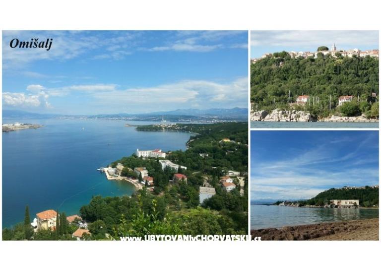 Apartments  Miskovic – photo 10