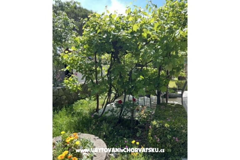 Apartments Matea – photo 22