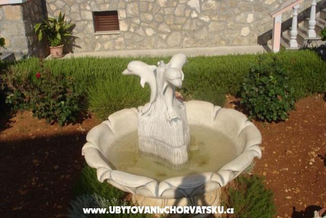 Apartments Petrović – photo 8