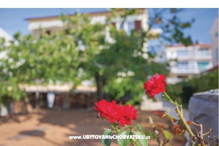 Apartments Sindičić – photo 16