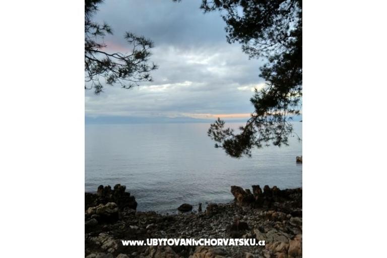 Apartments Topol – photo 15