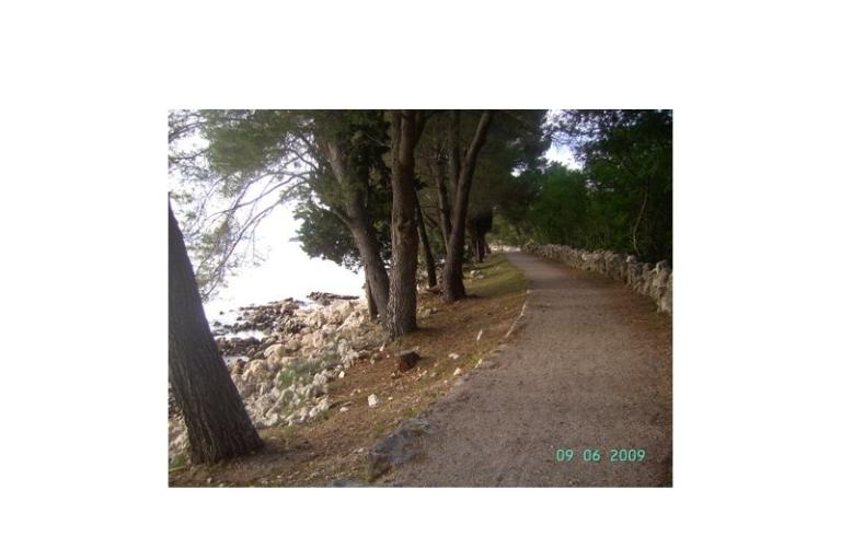 Apartments Topol – photo 16