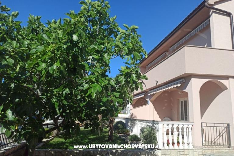 Apartments Vesna – photo 2