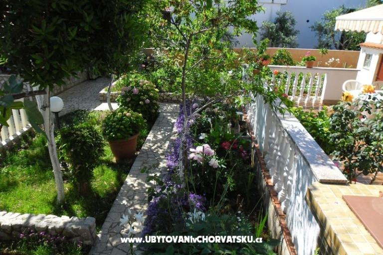 Apartments Milica – photo 16