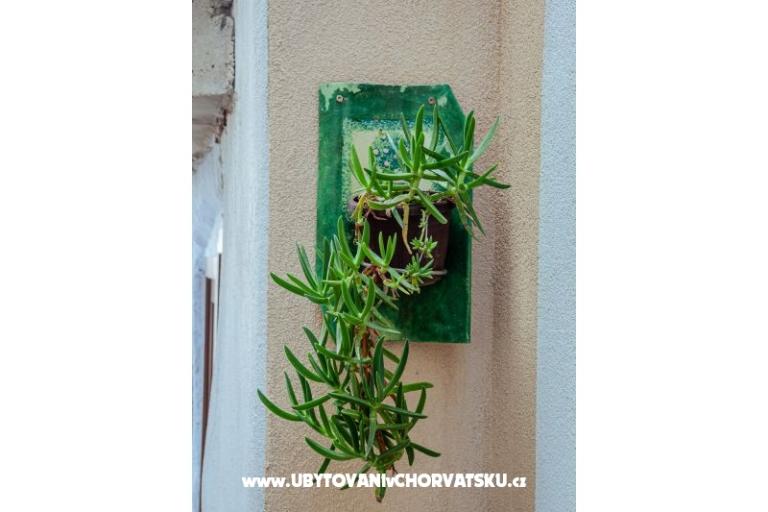 Apartments Funtana  – photo 10