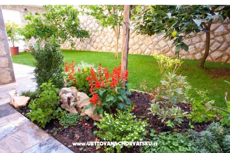 Lucia Apartments – photo 5