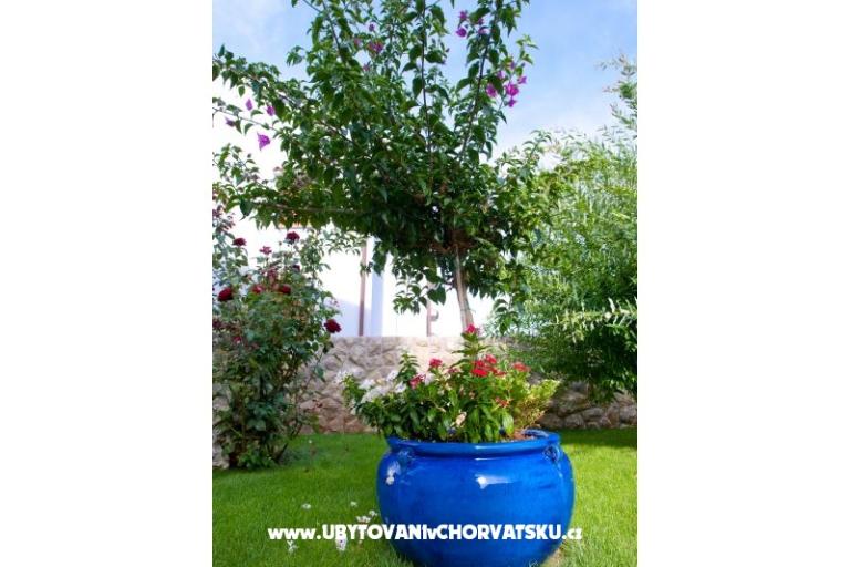 Lucia Apartments – photo 7