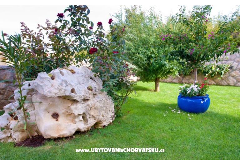 Lucia Apartments – photo 8