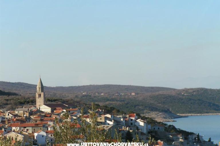 Maja – photo 14