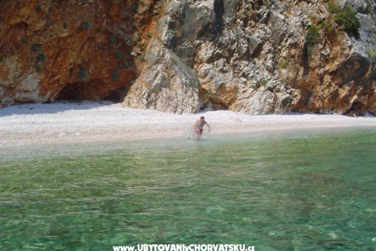 Maja – photo 17