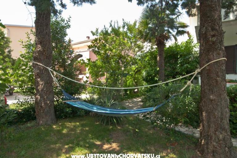 Sea Dream – photo 3