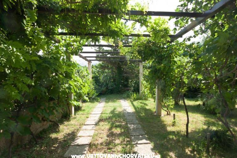 Sea Dream – photo 7