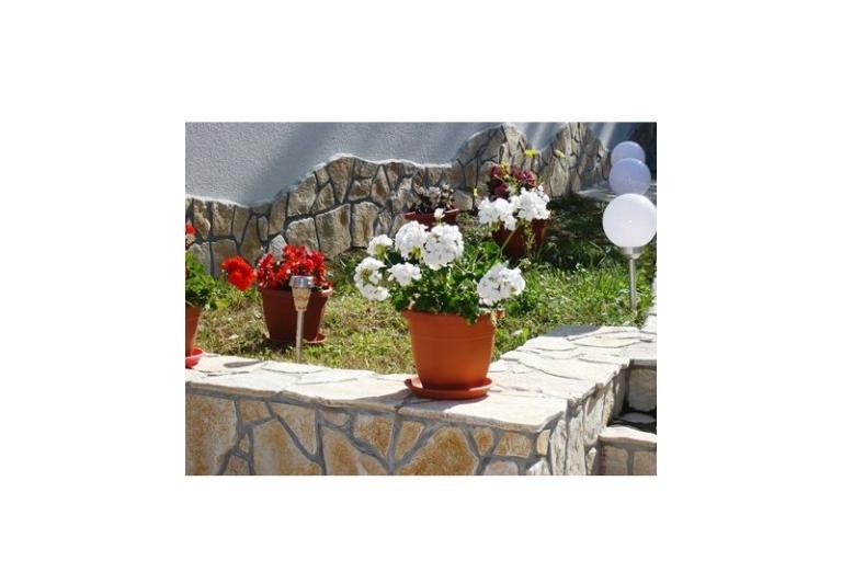 Apartments Zana – photo 14