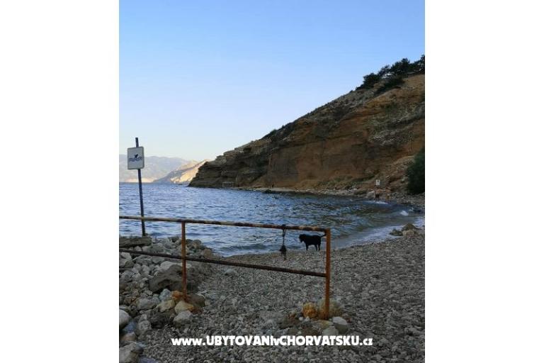 Studio Apartments Cene – photo 12