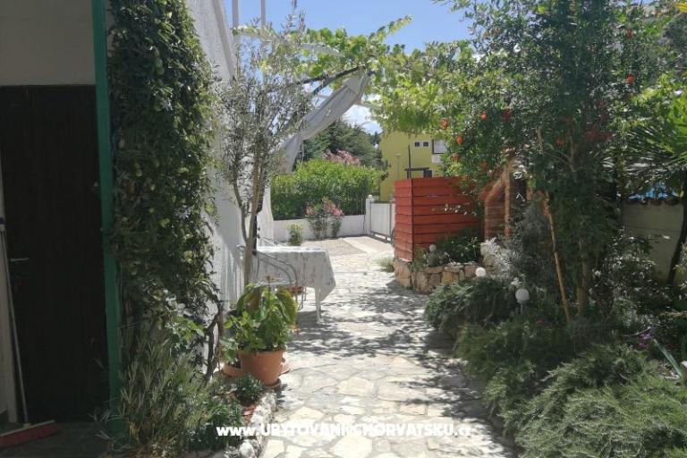 Studio Apartments Cene – photo 4