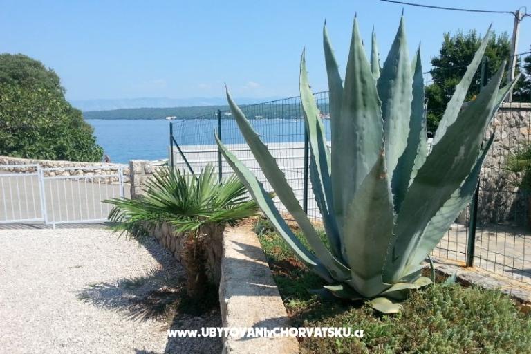 KUĆA ZA ODMOR - LINARDIĆ – photo 4