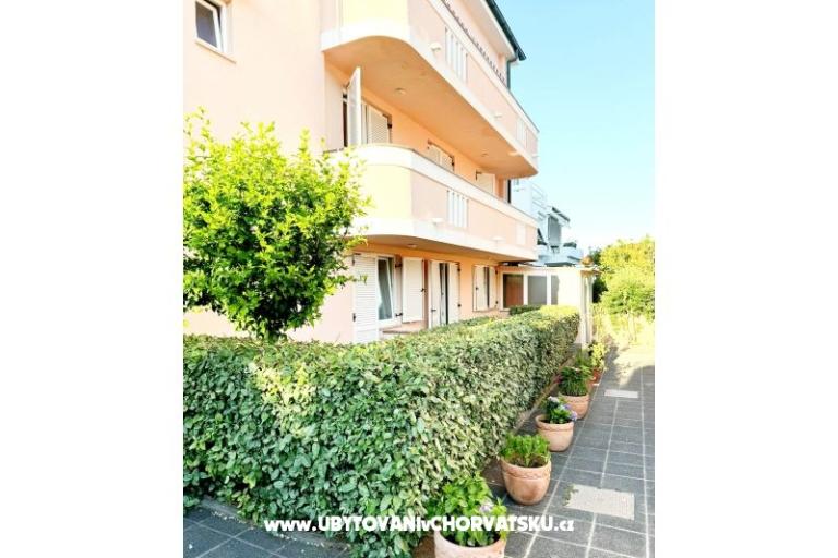 Villa Ana – photo 15