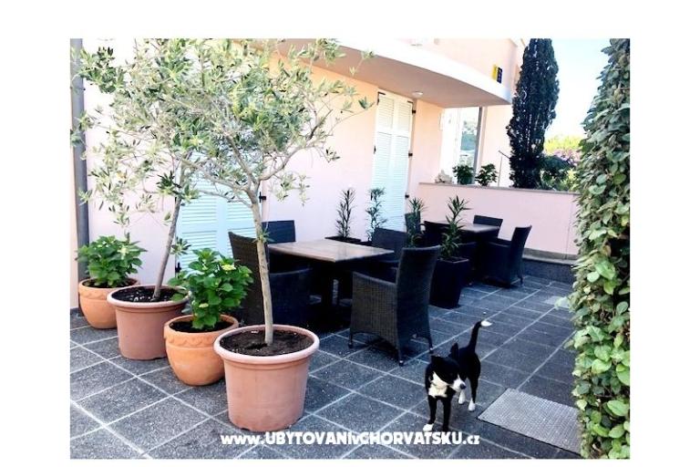 Villa Marija – photo 10