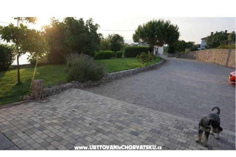 Villa Mirela B&amp;B – photo 14
