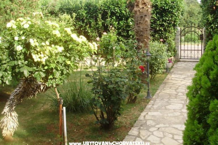 Apartment Mihael + free boat trip – photo 16
