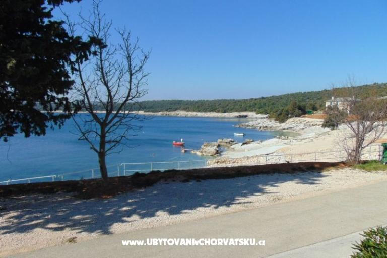 Apartment Rajka – photo 3