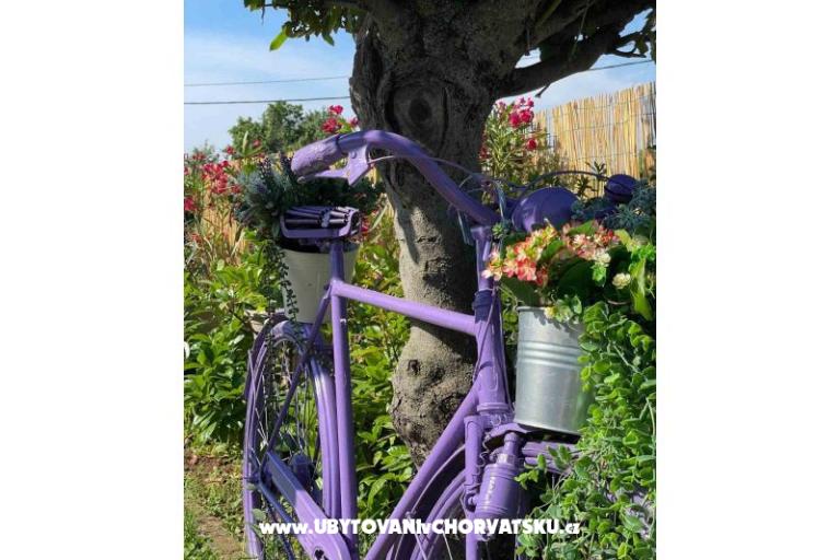 Vacation house Bepina – photo 20