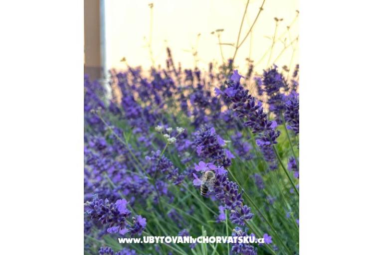 Vacation house Bepina – photo 22