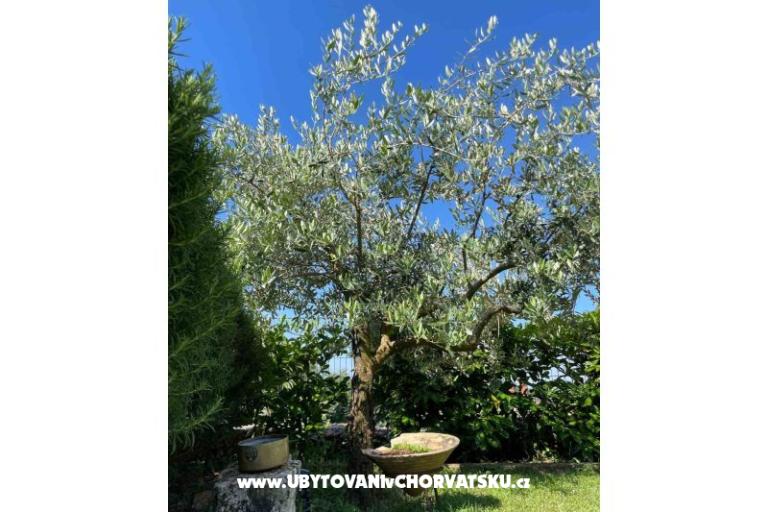 Vacation house Bepina – photo 23