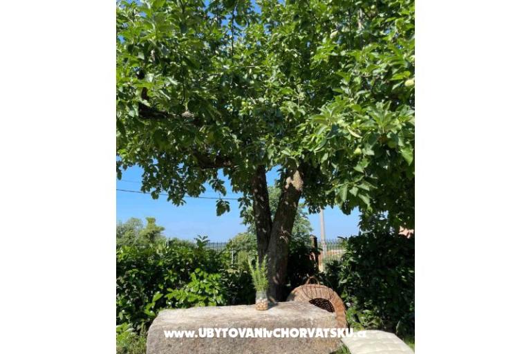 Vacation house Bepina – photo 27