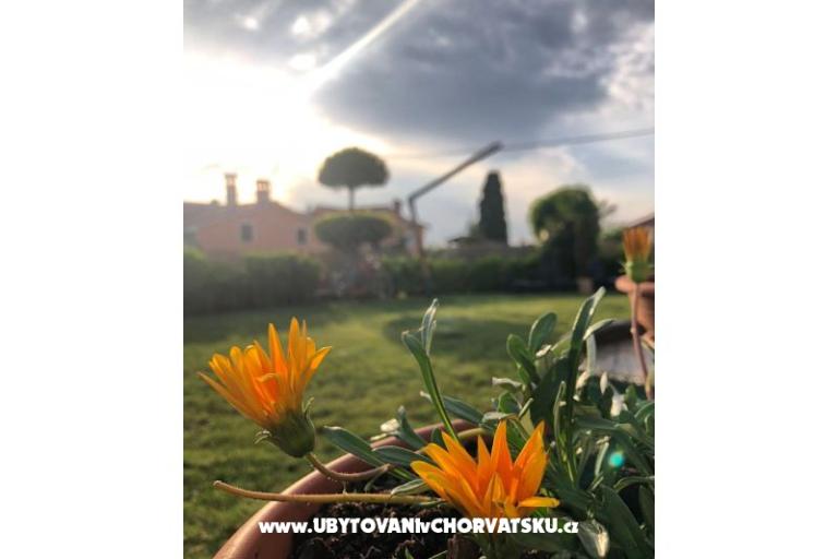 Vacation house Bepina – photo 29