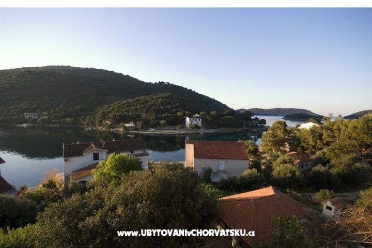 Villa Paradise – photo 3