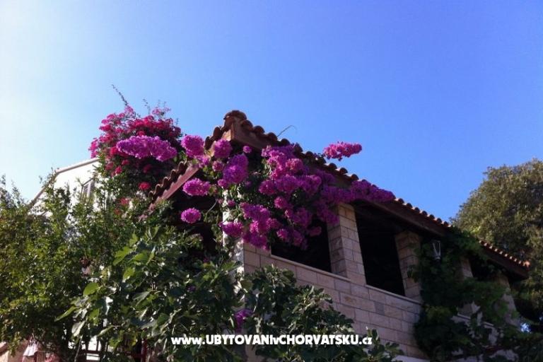 Villa Paradise – photo 5