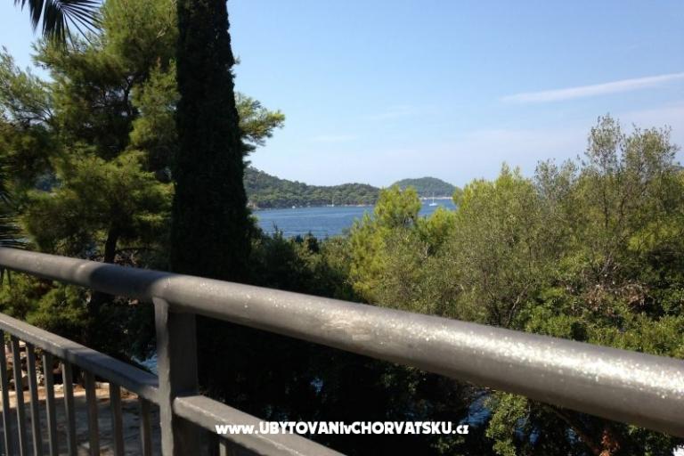Villa Lastovo – photo 18