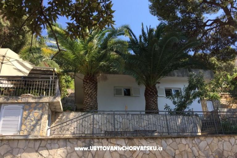 Villa Lastovo – photo 4