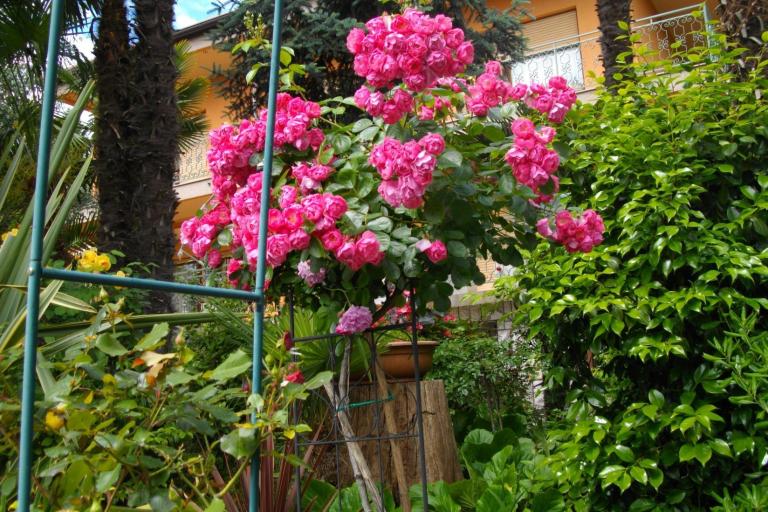 Apartment Ines – photo 2