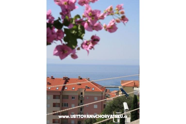 Apartment Bojana – photo 5