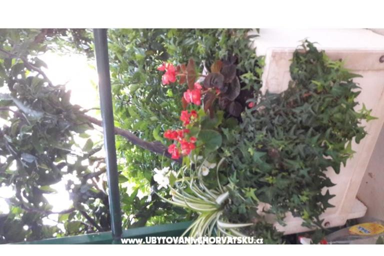 Apartment Olga – photo 9