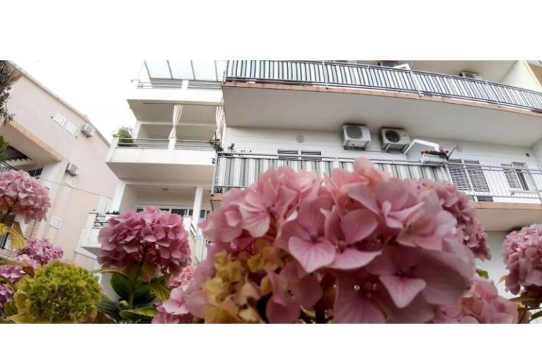 Apartments Antunović – photo 7