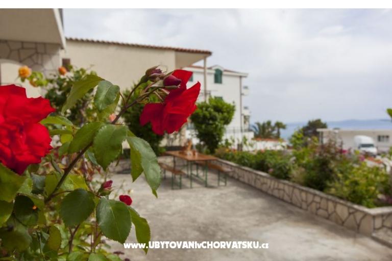 Apartments Ivan – photo 5
