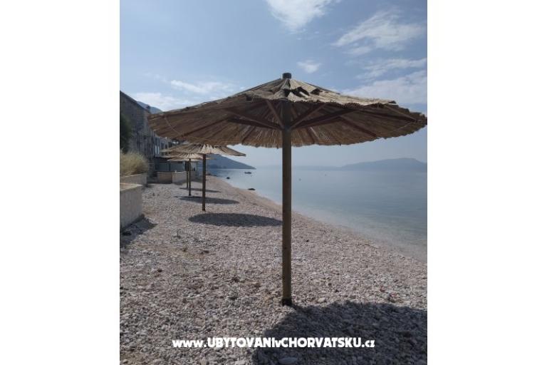 Apartments Dalmata – photo 6