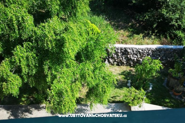 Apartments Garden paradise – photo 18