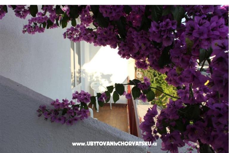Apartments Kruno – photo 15