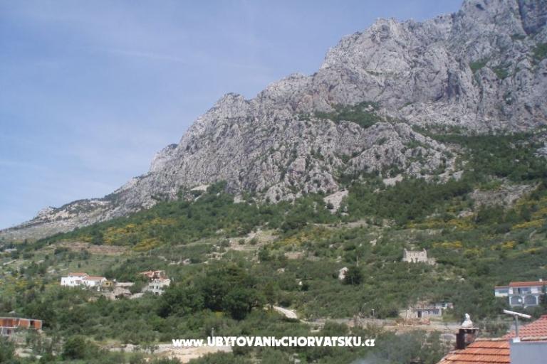 Apartments Mileta – photo 18