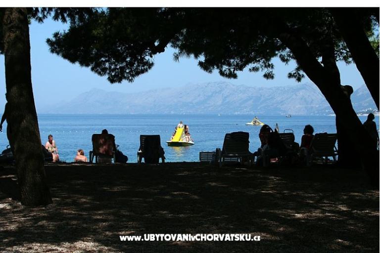 Apartments Pašalić – photo 10